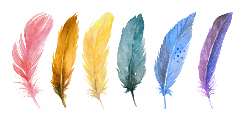 Six quills in the colours of the rainbow flag.